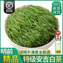 2021 new tea on the market authentic Mingchen special high mountain Luzhou flavor Anji White Tea Green Tea 250g bulk tea