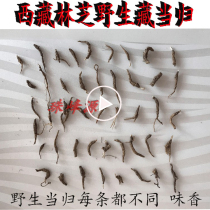 50g Tibet Nyingchi wild small Angelica Tibetan Angelica a 2-3 grams small taste is very fragrant and unique