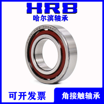 Harbin HRB precision angular contact ball bearing 7205BTN P5DFB 7206BTN P5DFB Paired DB DT