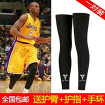Boys knee seven points lengthen pantyhose basketball knee brace arm Kobe Bryant full white James Curry