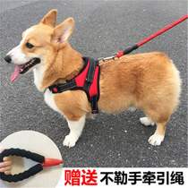 Dog leash vest style dog walking rope Teddy Daddie Corgi medium dog small dog pet chest strap