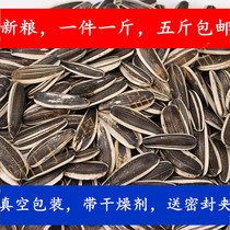 Big melon seeds hairy melon seeds big parrot feed pellets made in Inner Mongolia full of 20 new products