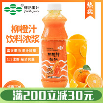 New Packaging Fresh Orange Juice Concentrate with Pulp Drink Concentrate 840ml Fresh Orange Juice Concentrate Orange Juice