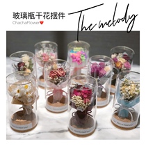 Three pieces of glass bottles Teachers Day eternal flower glass cover rose dried flower bouquet mini decoration teacher gift