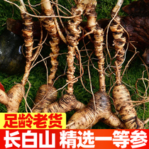 Wild mountain ginseng Fresh ginseng Changbai Mountain forest ginseng seed cargo First-class ginseng bubble wine material Northeast wild old man three 30 years