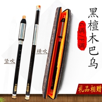(Flagship Store) Bau Zizhu G-tone F-tone DC B- tone initial performance recording type Yunnan Ba
