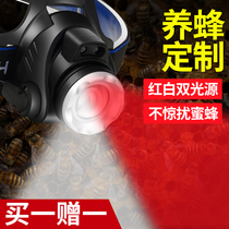  Can sense the red bald head lamp Special beekeeping check bees take honey catch bees head-mounted flashlight focus red and white dual light sources