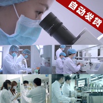 Laboratory biochemical research biopharmaceutical engineering research drug development vaccine research and development video material