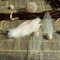 Magnolia leaf vein color leaf specimen Creative handmade material diy home decoration Bookmark Bodhi leaf specimen