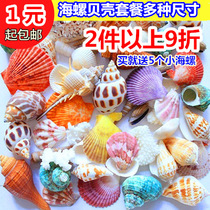 Special Price natural conch shell wind chimes material package fish tank platform Mediterranean home decoration kindergarten handmade