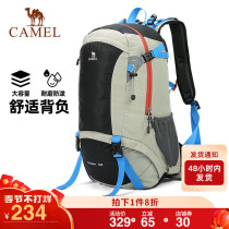 Camel Outdoor Mountaineering Bag 40L Large Capacity Backpack Hiking Travel Camping Wear-resistant Leisure Backpack for Men and Women