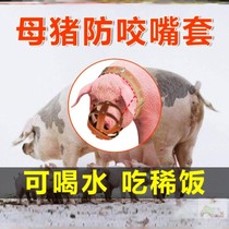Pig muzzle anti-bite sleeve pigs mouth sow nipple pigs with mouth sleeve pigs 笼嘴 sow mouth cage sheep and cattle dogs horses mouth cage sleeve