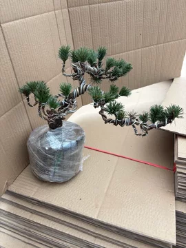 精品五针松-精品五针松促销价格、精品五针松品牌- 淘宝