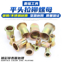 M3M4M5M6M8M10M12 color zinc flat head 304 stainless steel pull rivet nut small countersunk head nut knurled pull cap