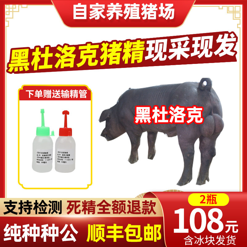 北京黑猪精-北京黑猪精促销价格、北京黑猪精品牌- 淘宝