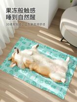 2022 new cooling pet ice mat resistant to bite dog Summer Taobao mat mat for sleeping with dog cushions in summer