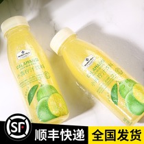 Sams shop small lime juice drink fresh juice lemon juice refrigerated shipping