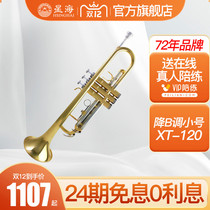Xinghai trumpet musical instrument XT-120 B- flat trumpet students professional performance beginner general brass brand musical instrument