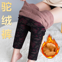 Middle-aged and elderly winter women's pants camel velvet cotton pants padded plus velvet mother pants wear mother-in-law grandmother warm pants