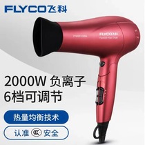 Feike hair dryer household hair salon 2000W does not hurt the hair blower negative ion foldable hair dryer FH6218