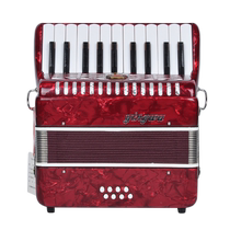 Accordion 120 bass beginner introduction teaching 8 60 96 bass childrens small three or four rows of springs 