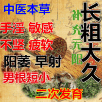 Cavernous body repair damaged development regeneration insufficient congestion Chinese medicine sensitive auxin strong capsules short