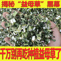Selected new dry goods motherwort 500 grams of Chinese herbal medicine motherwort bubble motherwort tea can make tea feet