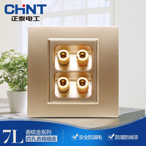 CHINT Electric 86 type steel frame switch socket panel NEW7L champagne gold four-hole audio socket surface