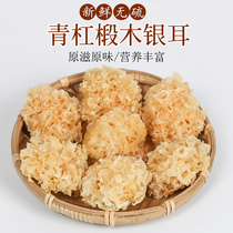 Sichuan Tongjiang Tremella dry goods 100g selection of snow ear basswood white fungus white fungus sulfur-free treasures