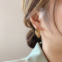 Korean earrings ring design sense womens summer sterling silver niche high-end sense of light luxury 2021 new trend unique earrings