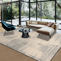 Carpet living room simple modern Nordic bedroom tea table blanket ins bedside European American home light luxury mat
