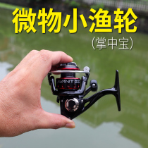 Micro-Matter Wheel Spinning Wheel Full Metal Road Subwheel Expeditions Special Mini Fish Wire Wheel 500 Type Small Fishing Wheel Palm