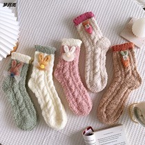 Coral Suede Socks Children Autumn Winter Thickened Warm Cute Home Floor Socks Plush Midbarrel Socks Sleeping Moon Socks