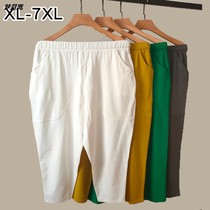 Big code Seven Pants Women Loose Summer Thin with high waist display slim Fat Mummy pants 200 catty of underpants to wear