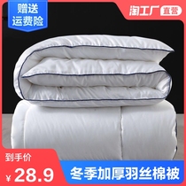 Autumn and winter thickened warm four seasons quilt core Student dormitory quilt winter quilt double quilt quilt bedding