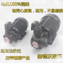 Hydraulic motor hydraulic station accessories oil pump motor 0 75KW 1 5KW 2 2KW with VP20 VP15 VP30