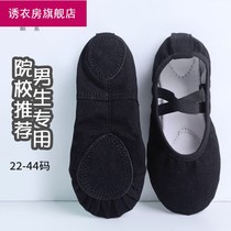Dance shoes cat claw girl no lace princess shoes Lady Chinese dance children skills shoes girl Black