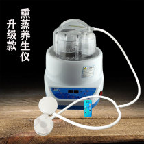 Yifeng fumigation machine fumigation bed Chinese medicine pot 8L Steam Machine fumigant beauty salon household 4L steaming foot machine sweat steaming machine