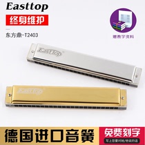 Dongfang Ding T2403 harmonica 24 hole polyphonic CABDEFG# Tune beginner students adult stress professional performance