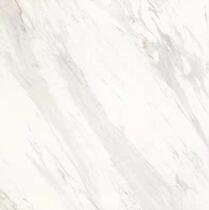 Roman Leo Chao Ping Kong marble plateau White