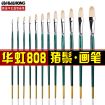  Huahong 808 Bristle oil painting pen Professional gouache brush set Art brush Acrylic brush Single art student special single adult student painting Hwahong imported from Korea 