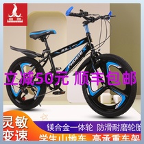 Phoenix Childrens Bicycles 8-9-10-12-15-year-old Primary School Childrens Boys and Girls Mountain Speed Bike