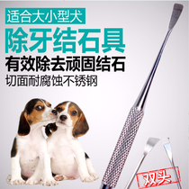Pet dog calculus artifact Teddy removal tartar cleaning teeth scraping tools bad breath teeth oral cleaning