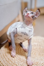 Sphenx hairless cat clothes Devon Davan dwarf vest sleeveless sweater Autumn Tide cotton baby cute and comfortable