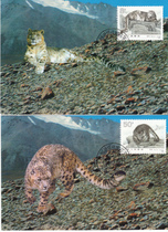 China National Philatelic Corporation issues :MC-9 Snow Leopard limit postcard collection