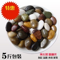 Turtle sun terrace stone natural pebbles oversized fish tank viewing stone flat climbing stone landscaping climbing platform Floating island sun terrace