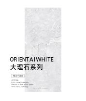 Nobel all-ceramic glaze marble tile simple modern iceberg White RK97003