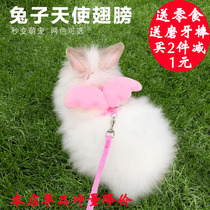 Rabbit leash rabbit rope rabbit rope supplies clothes chain small pet walking rabbit rope rope rabbit rope anti break free