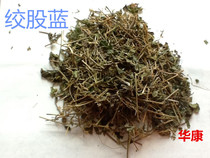 Chinese herbal medicine Gynostemma pentaphyllum medicinal herb five leaf ginseng