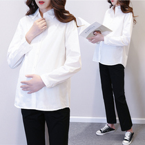 Pregnant womens shirt short top cotton white shirt Long sleeve pregnancy work clothes Korean version of spring and autumn professional suit